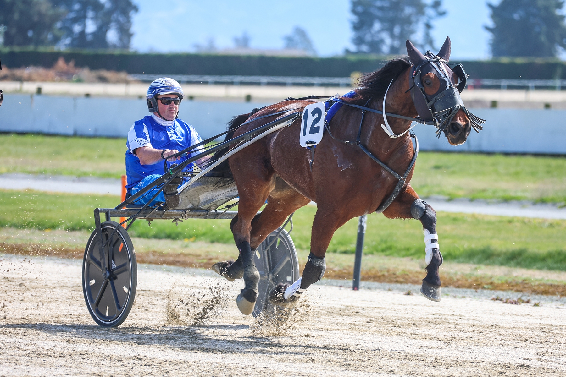 Untapped trotter out to chase some prestige