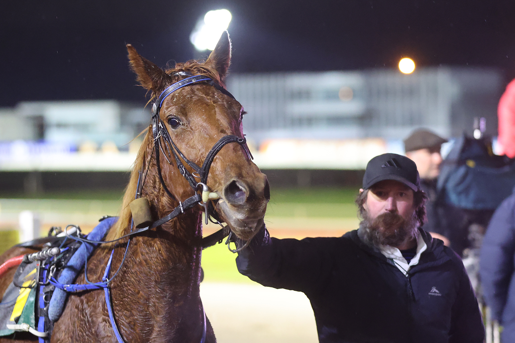 Bonny wee mare continues to bring the thrills