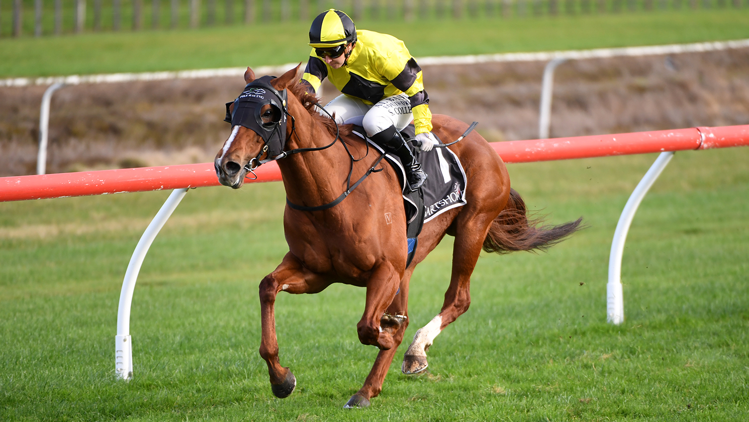 Churchillian claims Tauranga Classic
