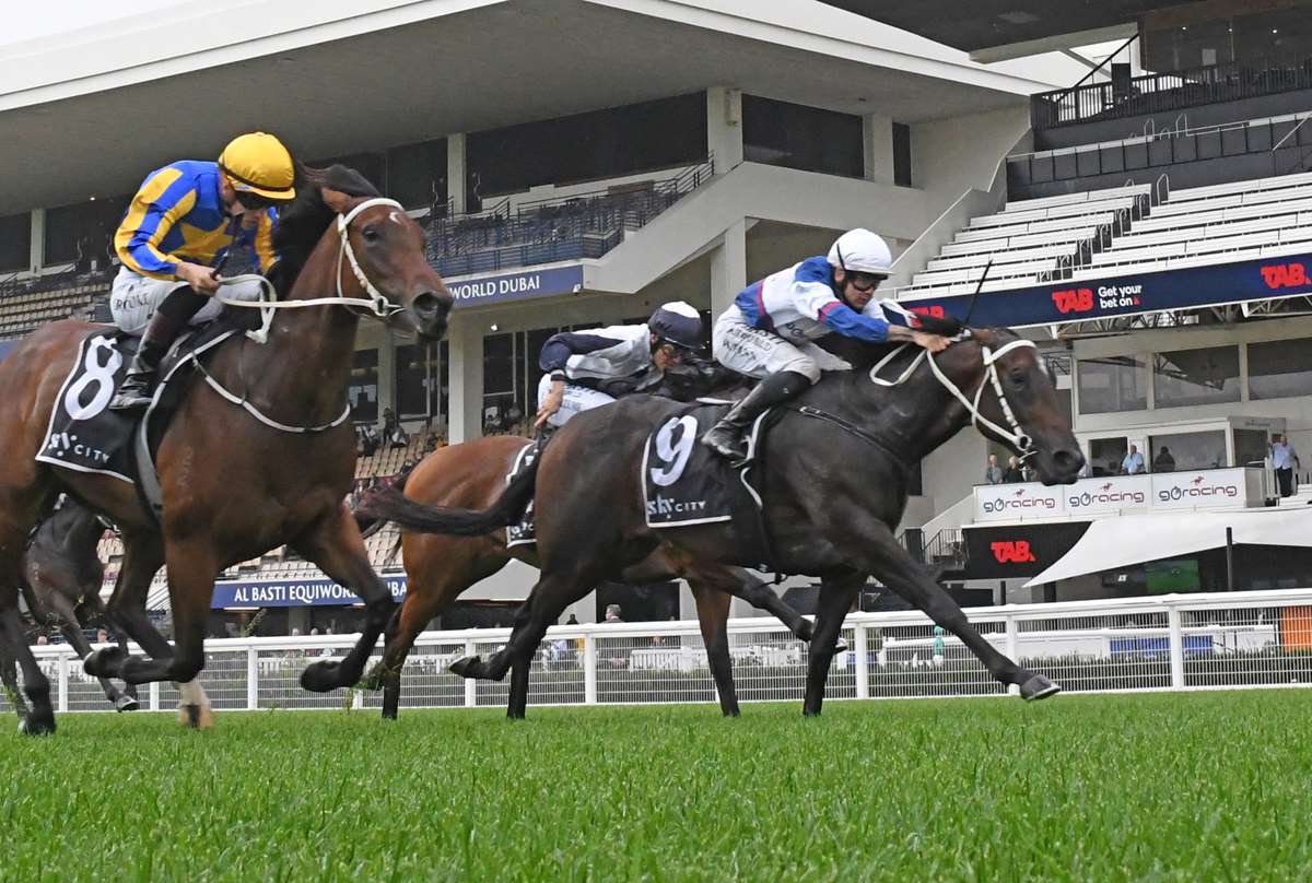 Quality fillies making good progress for Marsh