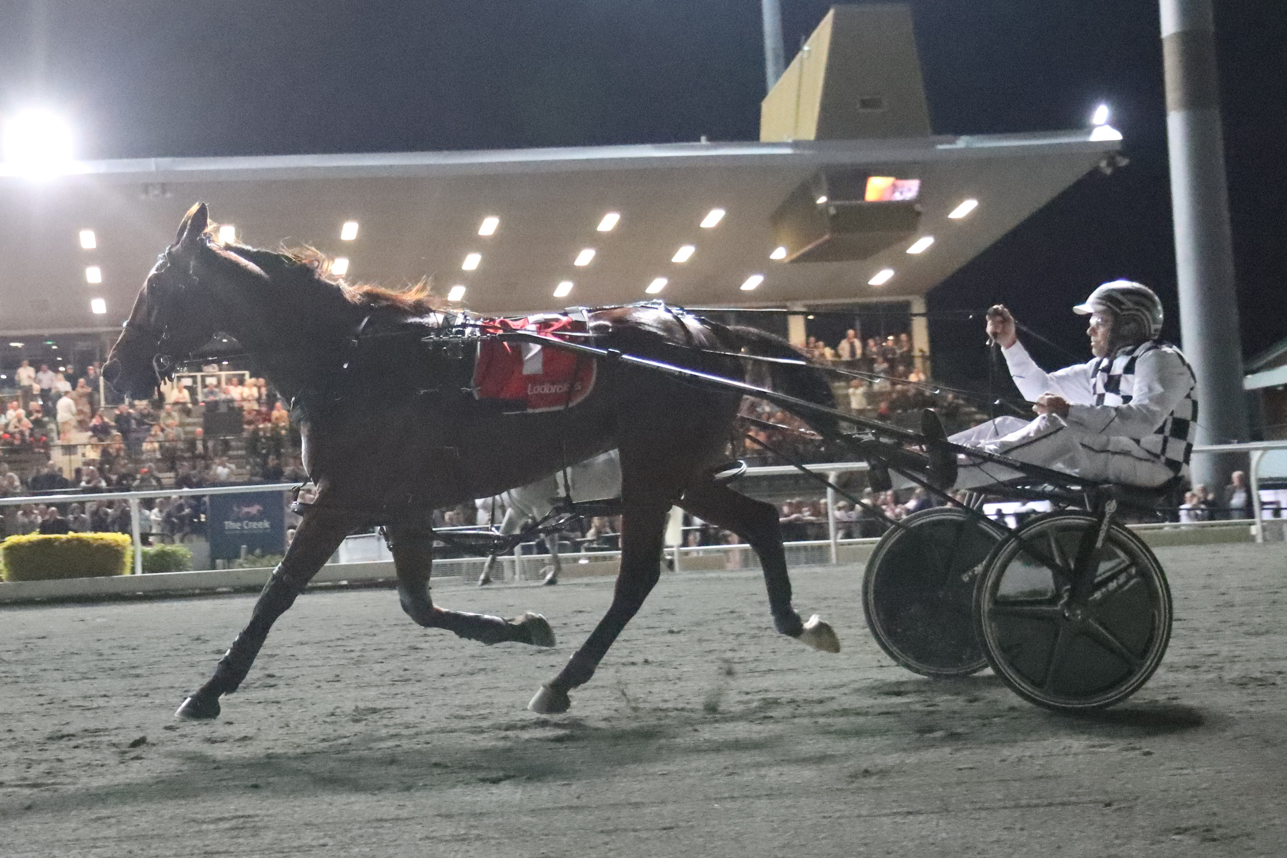 Across the Ditch: Leap To Fame and Swayzee eye NZ Showdown 