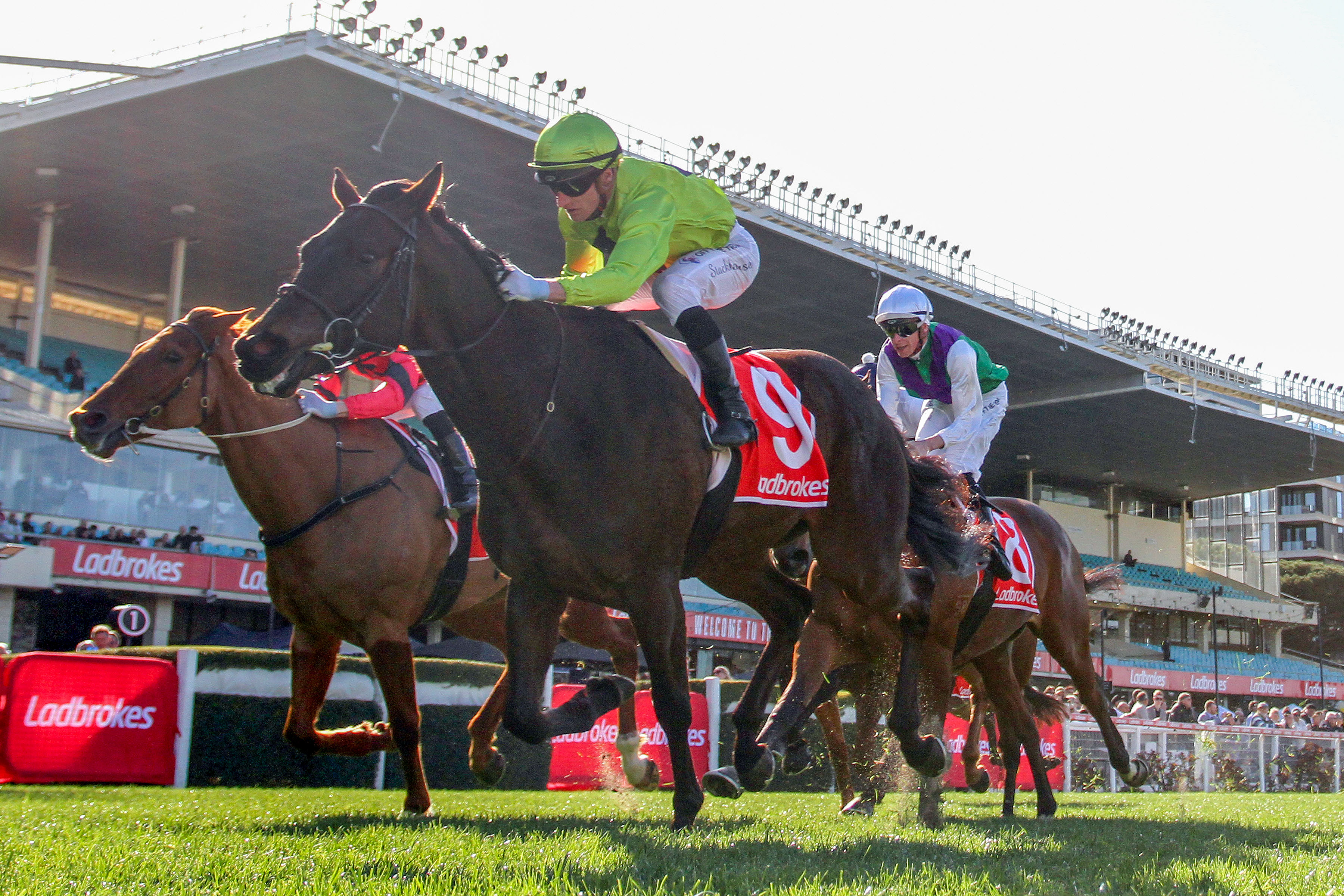 Navy King sails to Valley victory