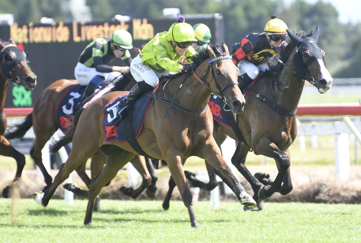 Timely tilt at lucrative Te Rapa prize