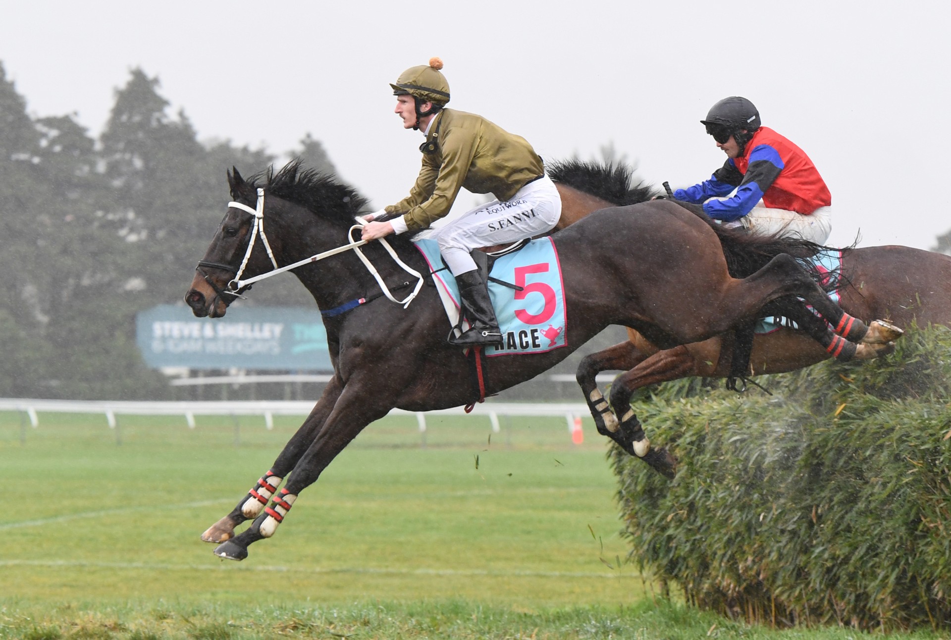 Jesko adds Wellington Steeplechase crown to his trophy cabinet