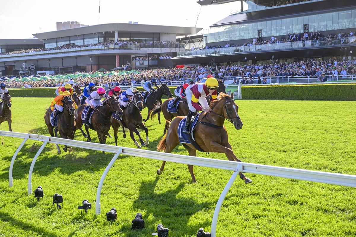Brilliant Linebacker heads Kiwi quinella in Silver Eagle