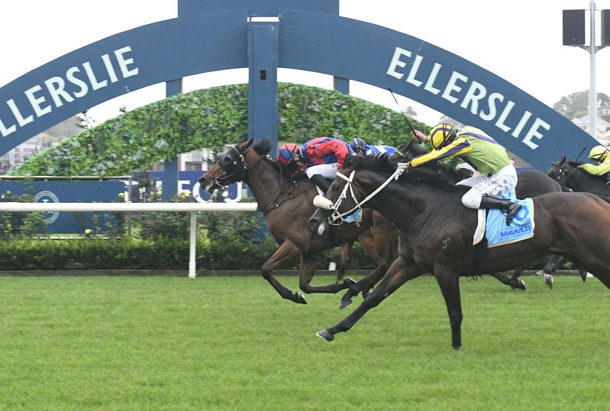 A Double Please: Ellerslie then Eden Park for sports fans