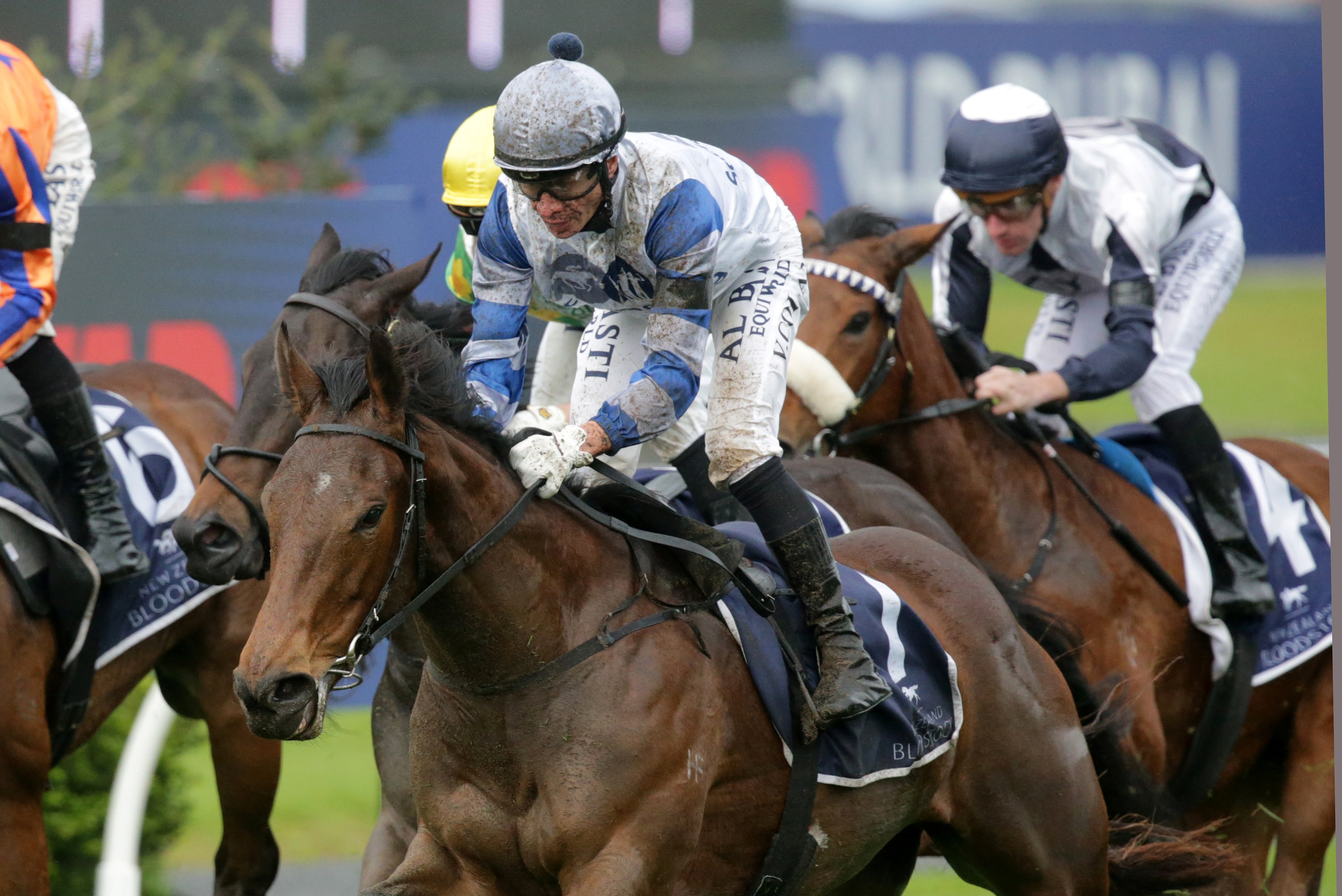 Early-season standouts set for Sunline Vase clash