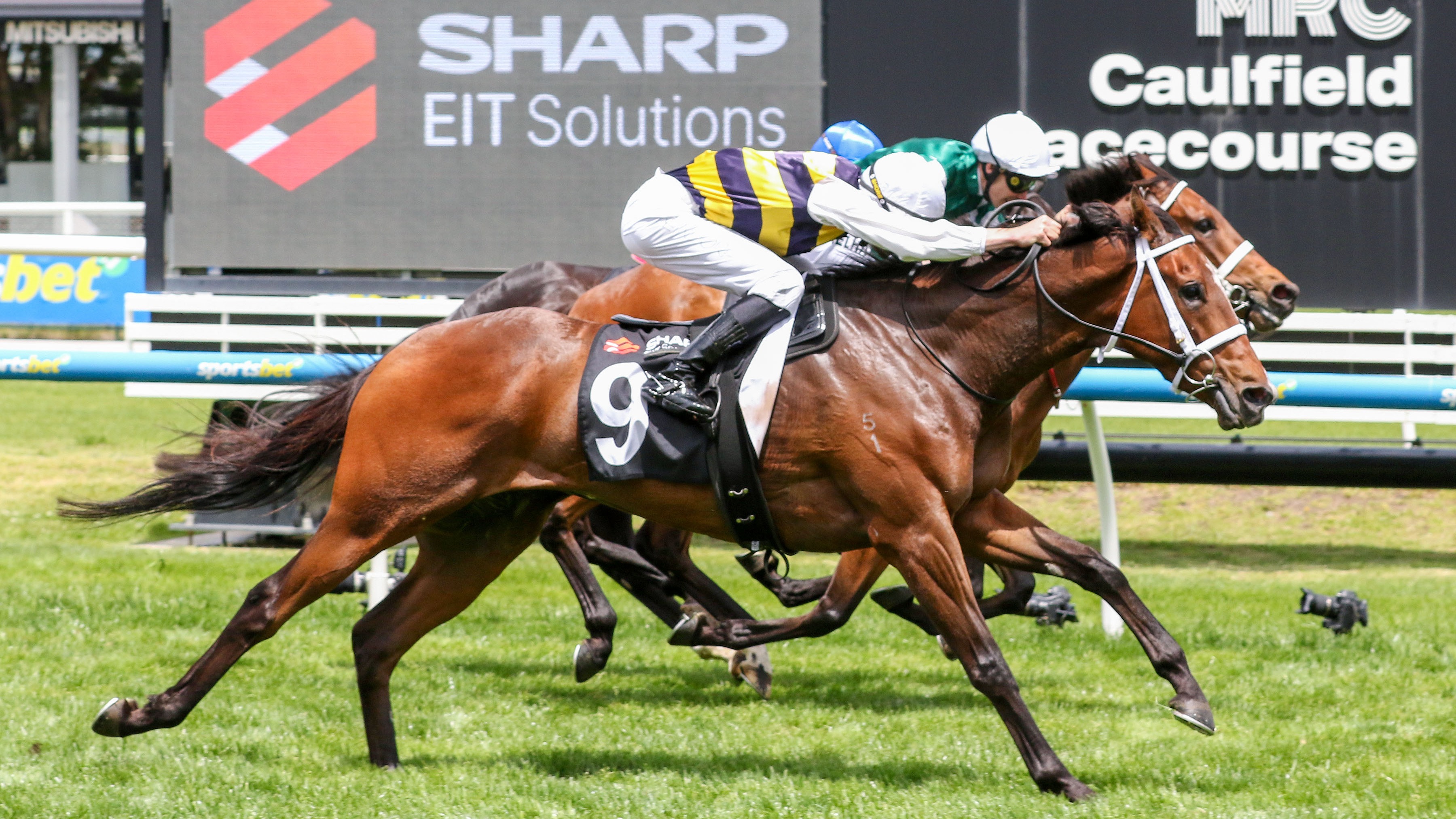 Skippers Canyon finishes strongly for Caulfield success