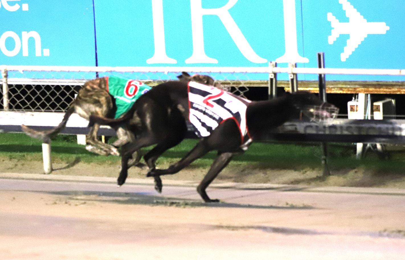 Roberts & Johnson dominate Hatrick Group races