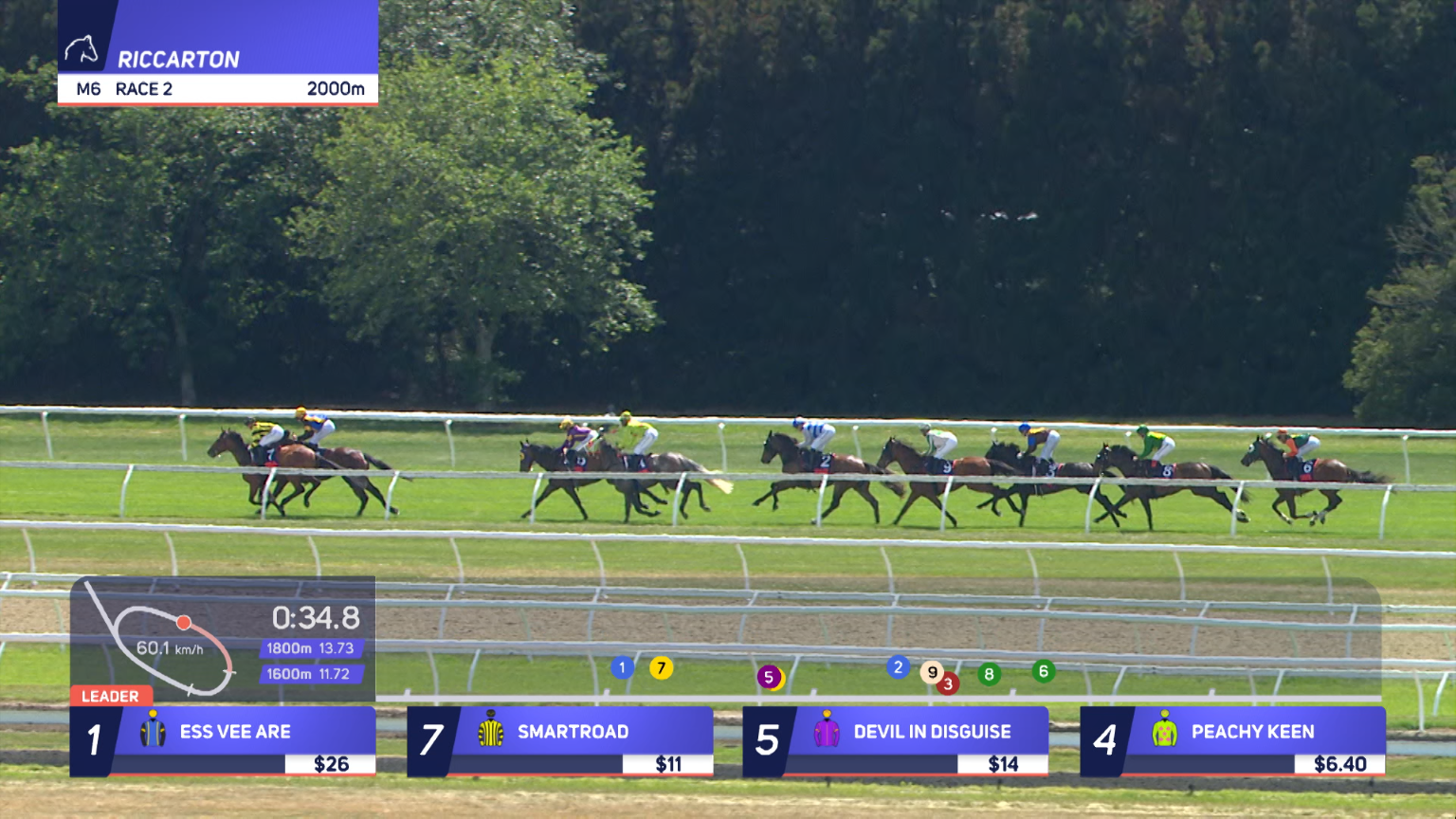 New GPS-RTK timing and tracking system transforming New Zealand racing