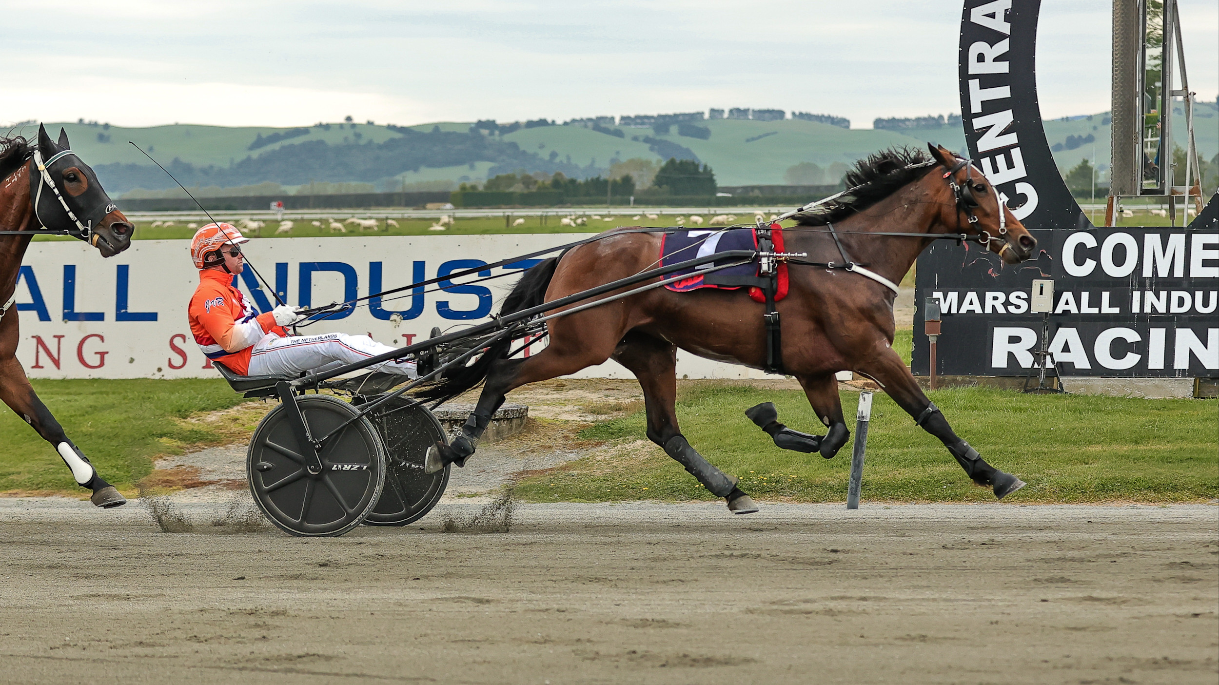 Winton's World Driving Championship