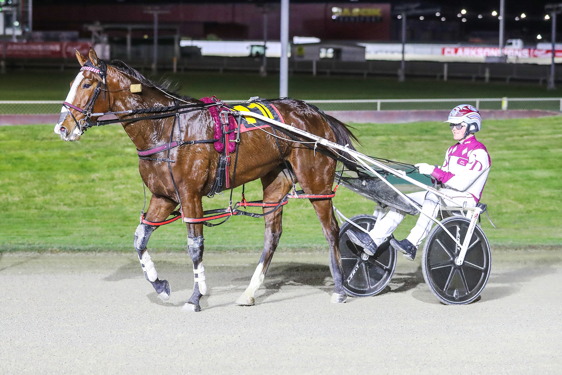 Queensland holiday looms large for Dalgety