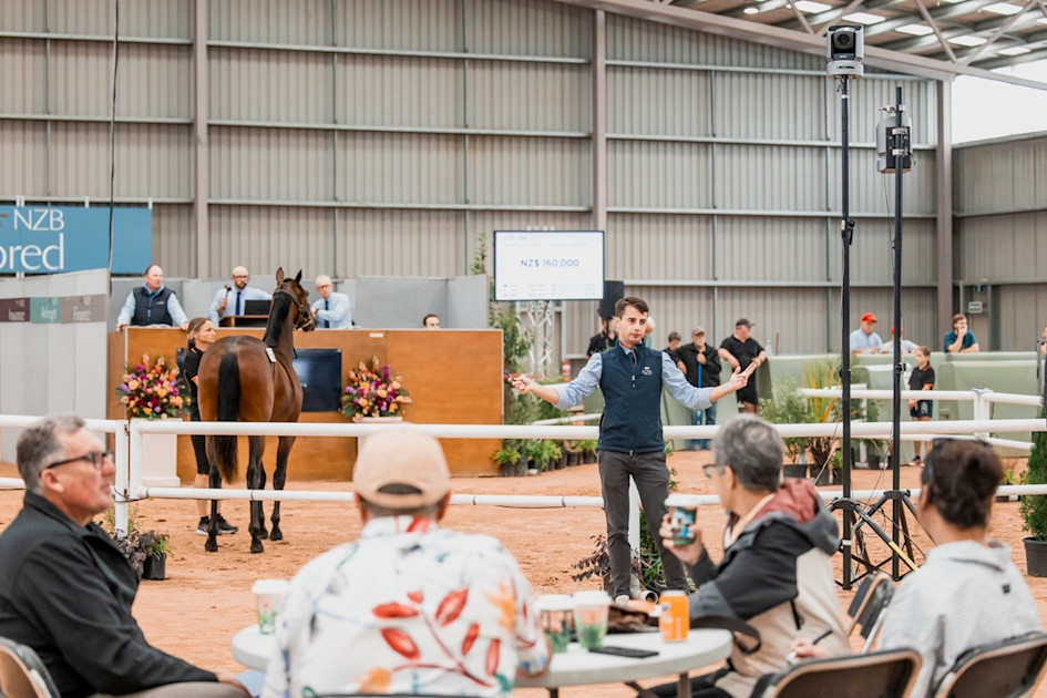 NZB Standardbred National Yearling Sale heads south