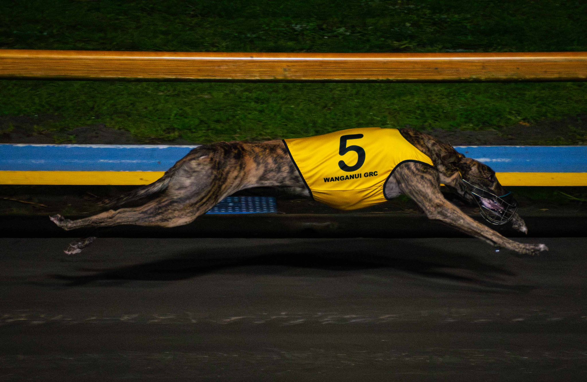 Roso picks his Whanganui flyers under the Friday Night Lights