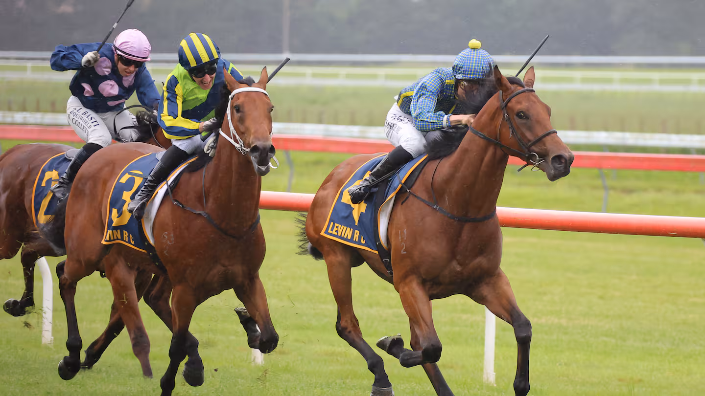 Road To Paris throws away jockey and race