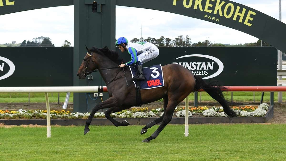 Smart an understatement for Wexford mare