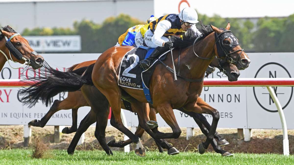 Mark Twain ruled out of Melbourne Cup