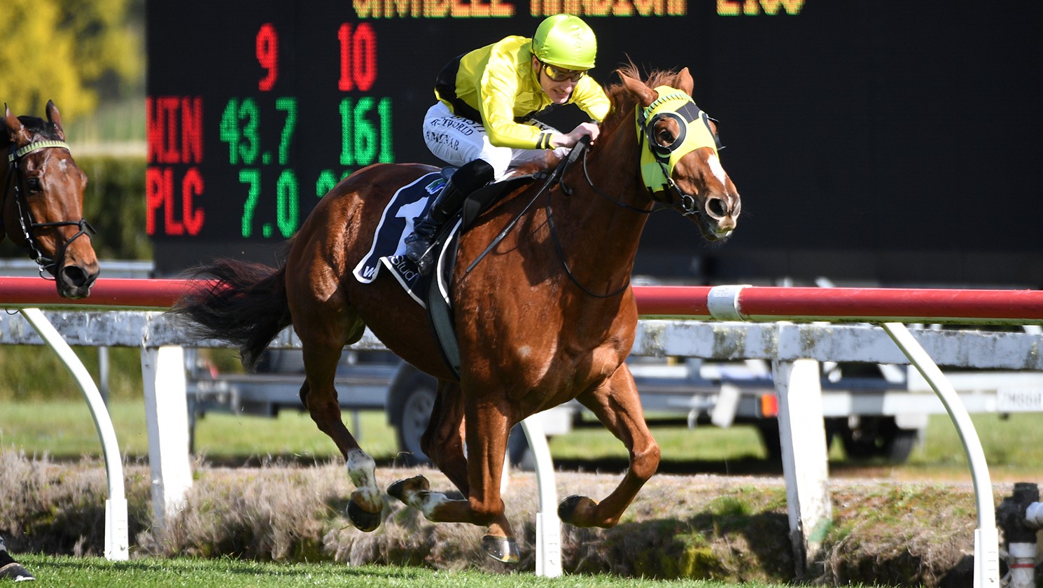 Drop Of Something takes Te Rapa thriller