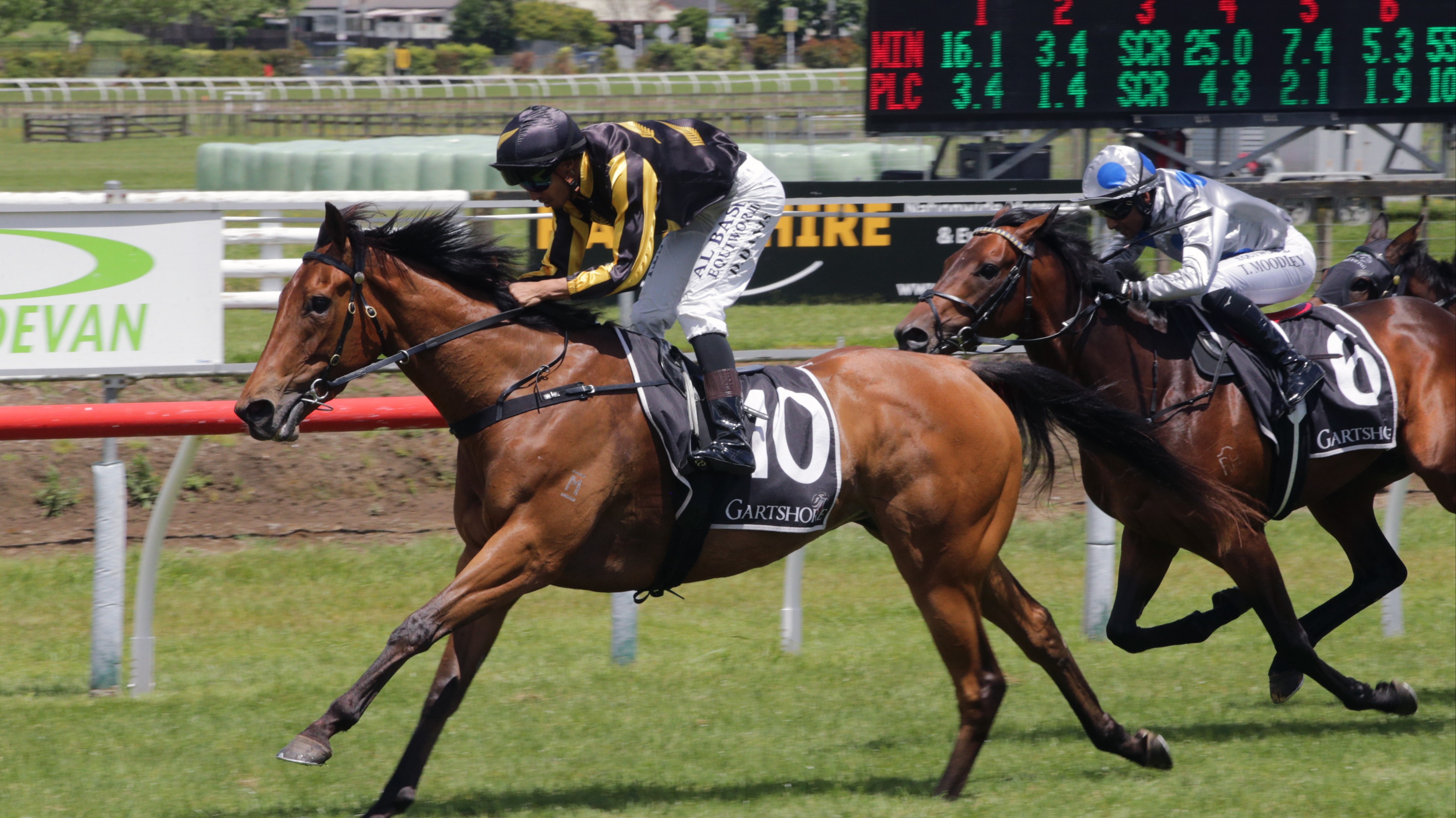 Busuttin and Young look to homeland for top-up talent