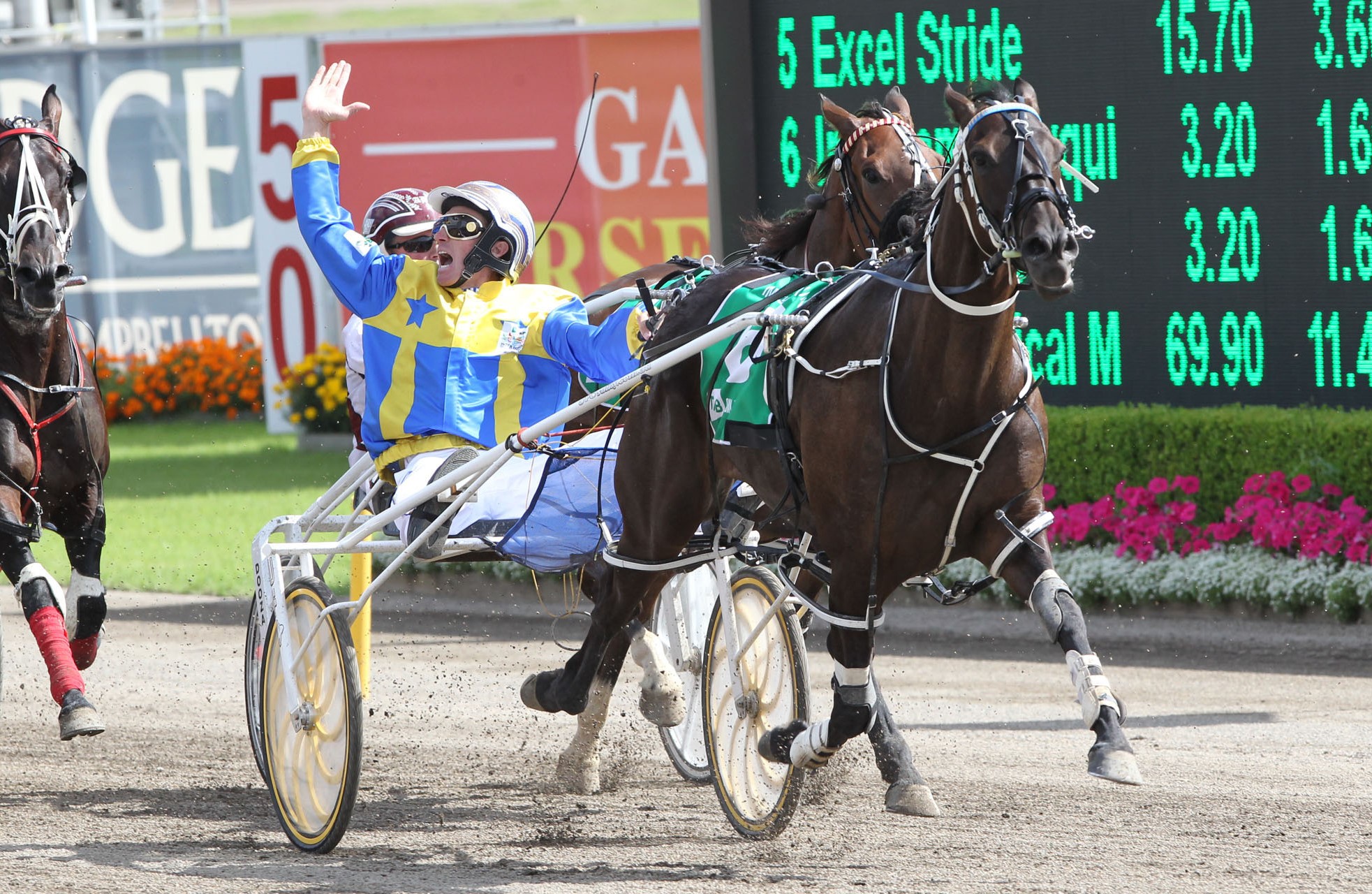 Phone call to on the ball hero saves Hall's WDC bid