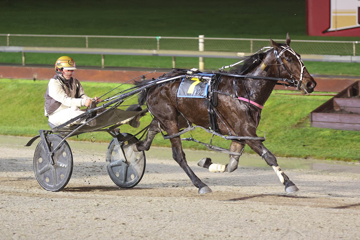 Amass leads the Morrison charge for Winter Rewards