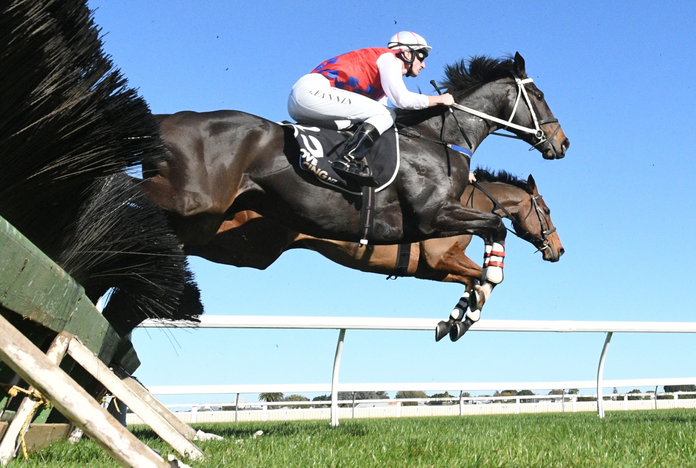 Jesko and Fannin formidable over bigger fences