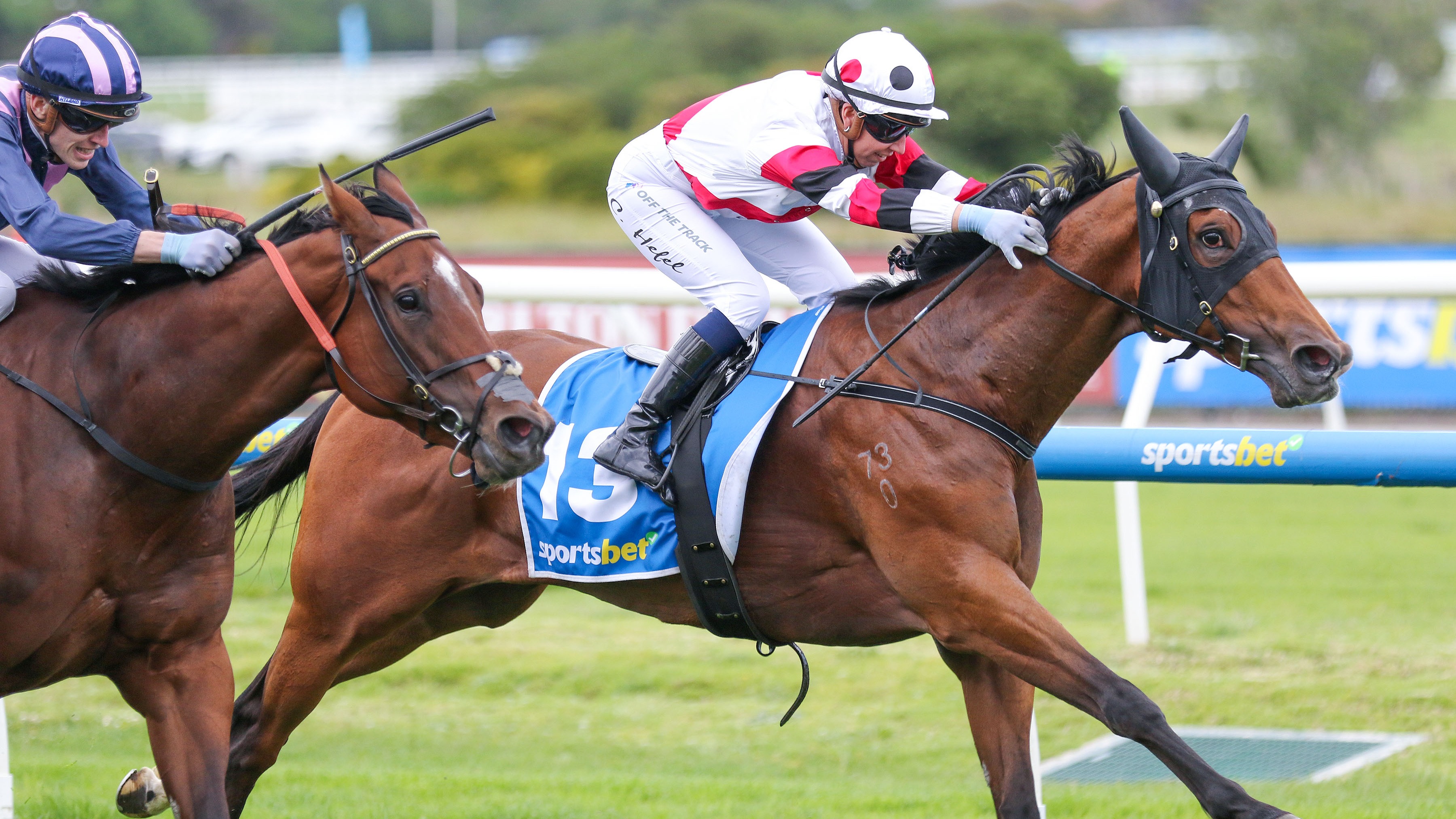 Proved secures first black-type success