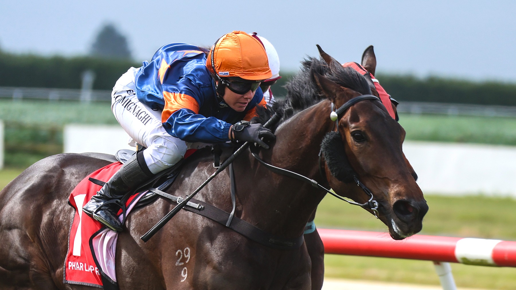 Cantabrian chasing back-to-back Southland Crystals