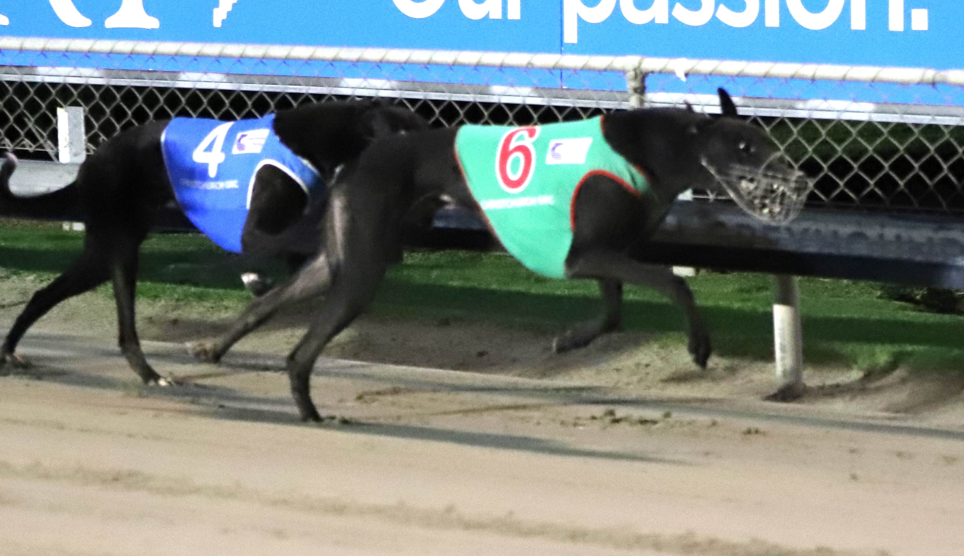 Competitive Addington feature fields tonight