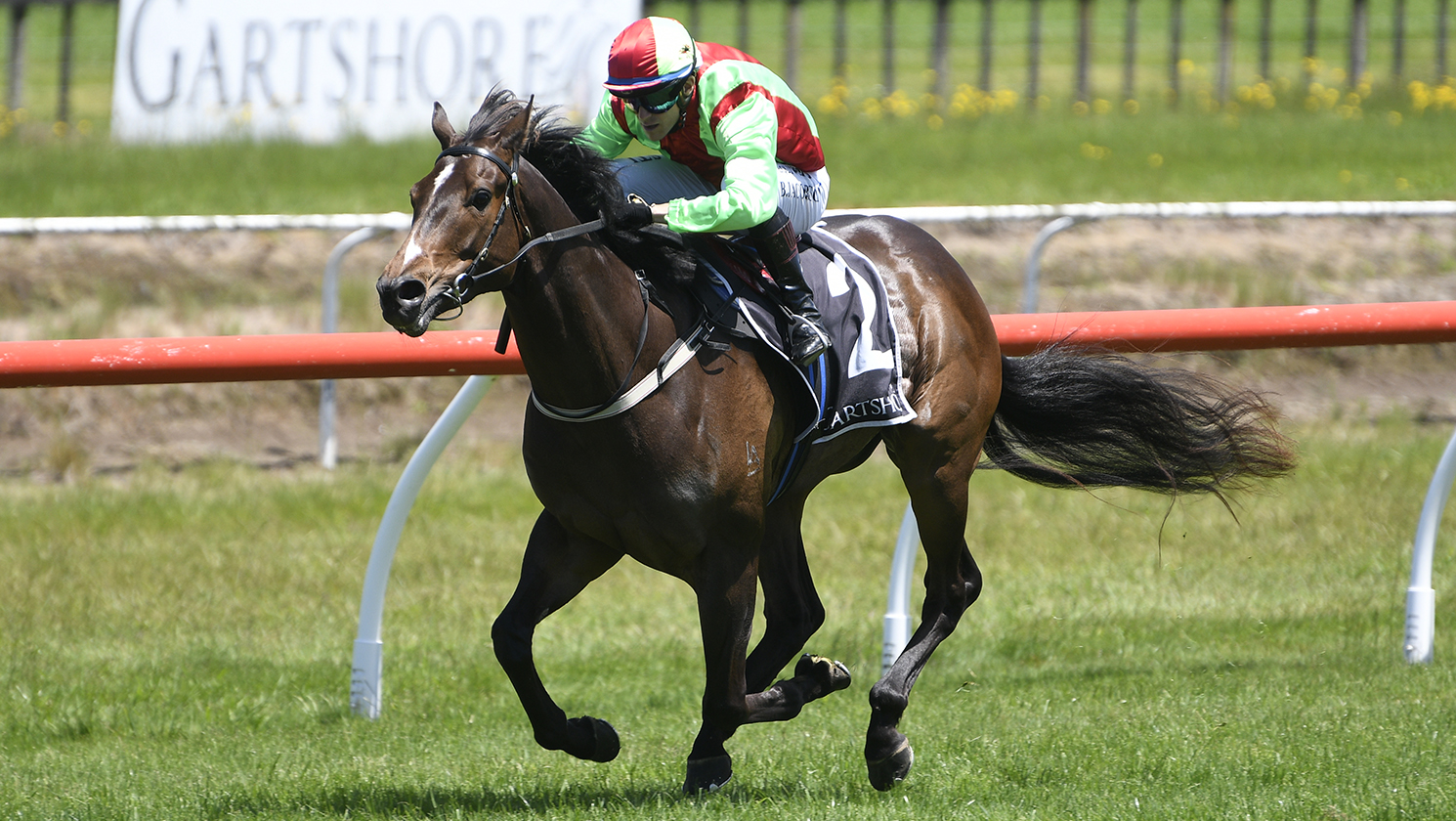 Twain impressive at Tauranga