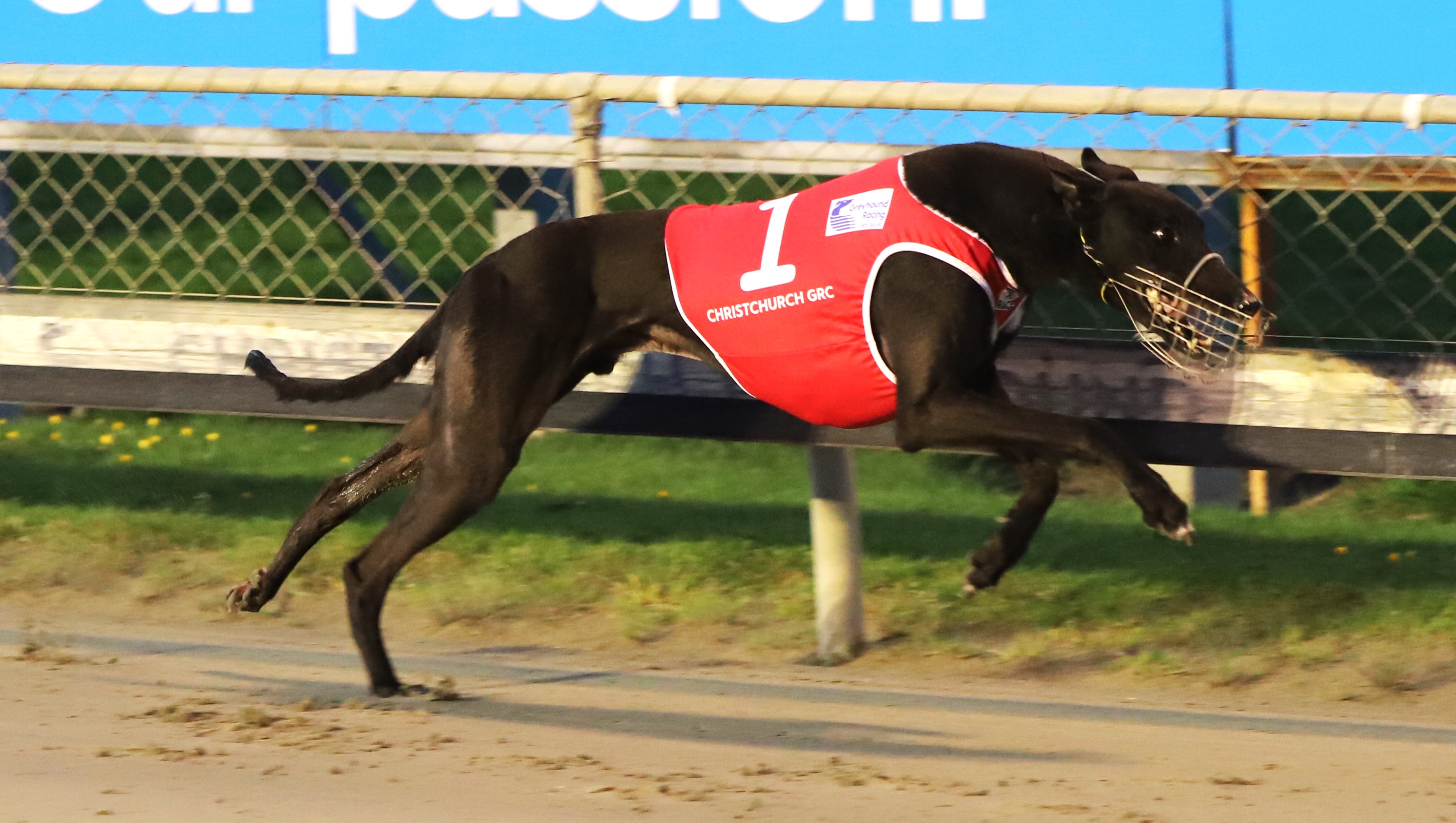 Huge Evening Of Chasing Action At Addington 