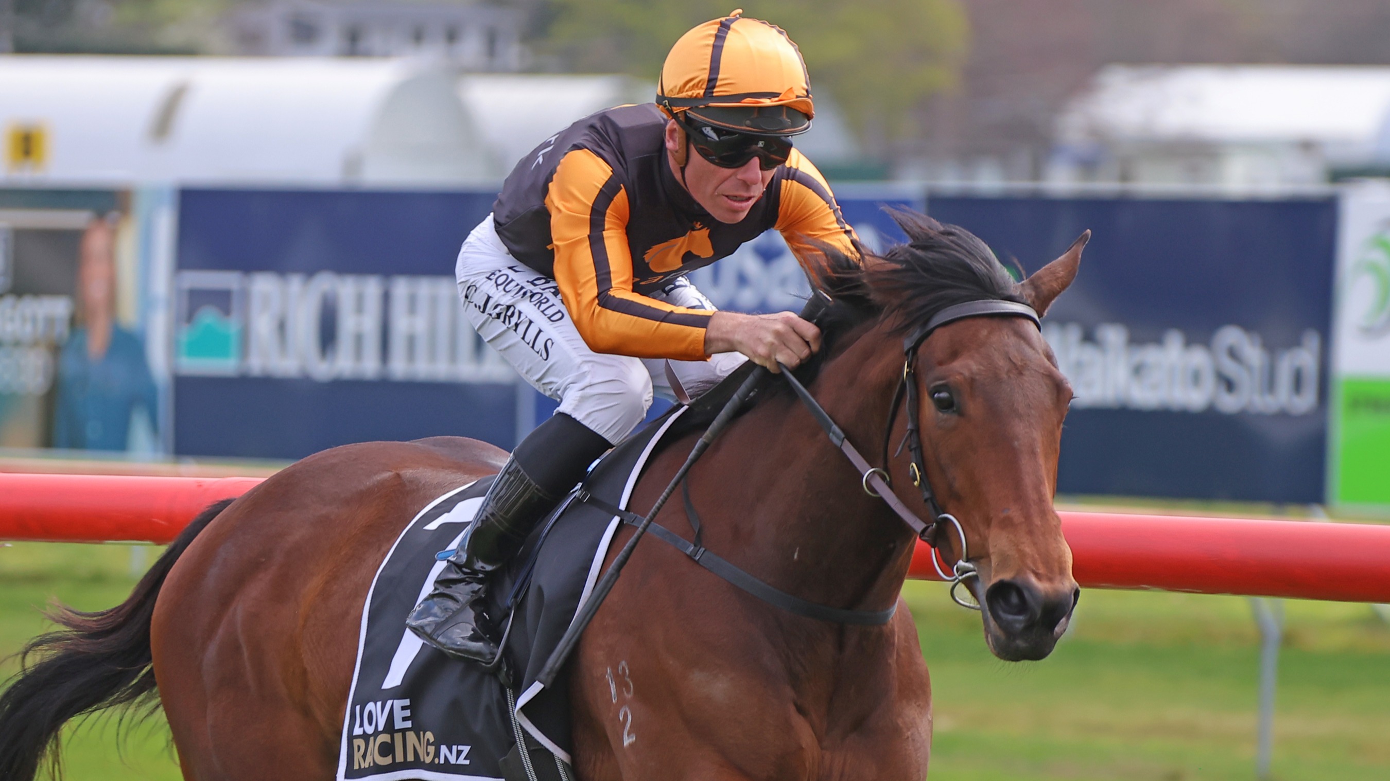 Promising filly primed for Te Rapa test