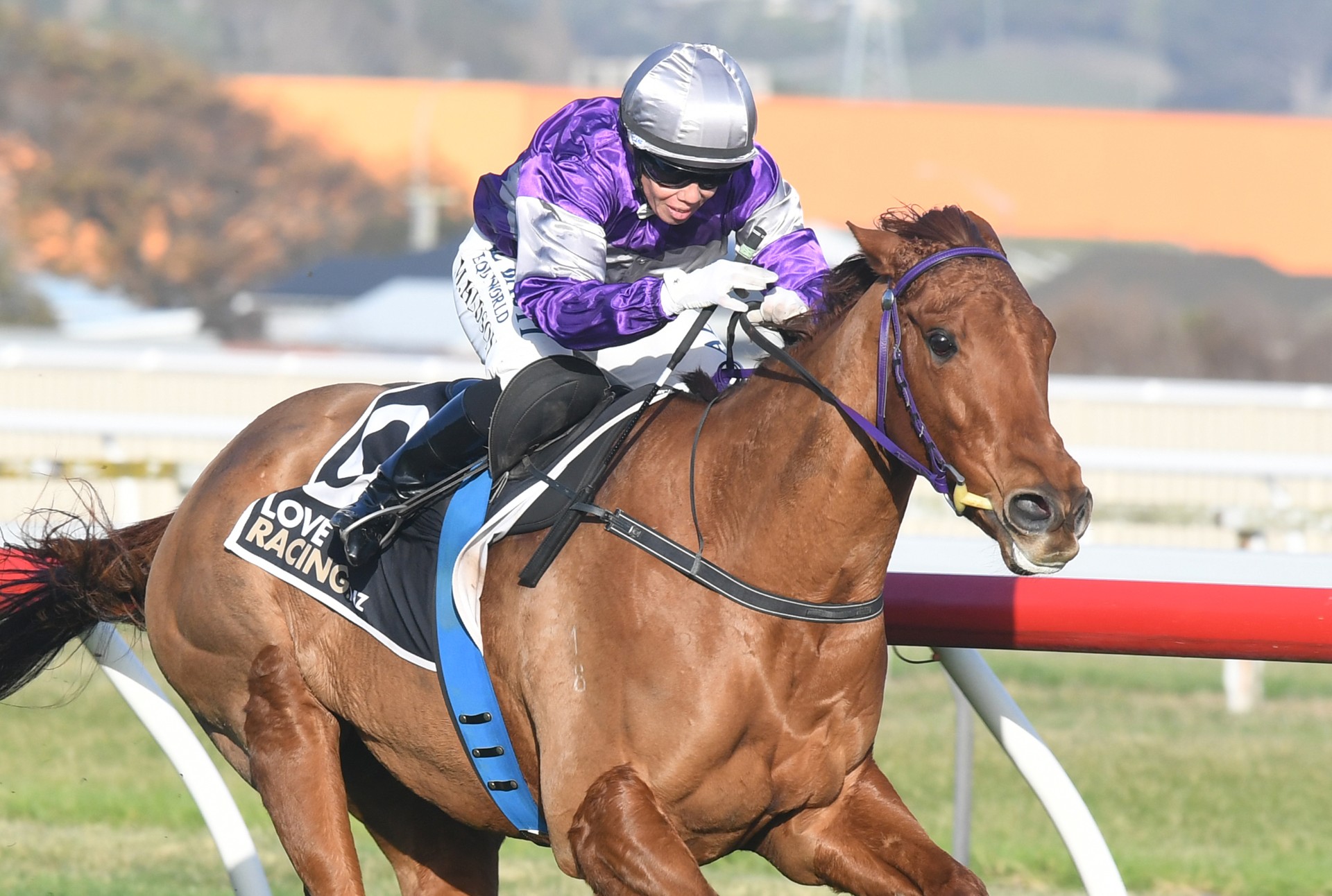 Southern raider strikes black-type gold