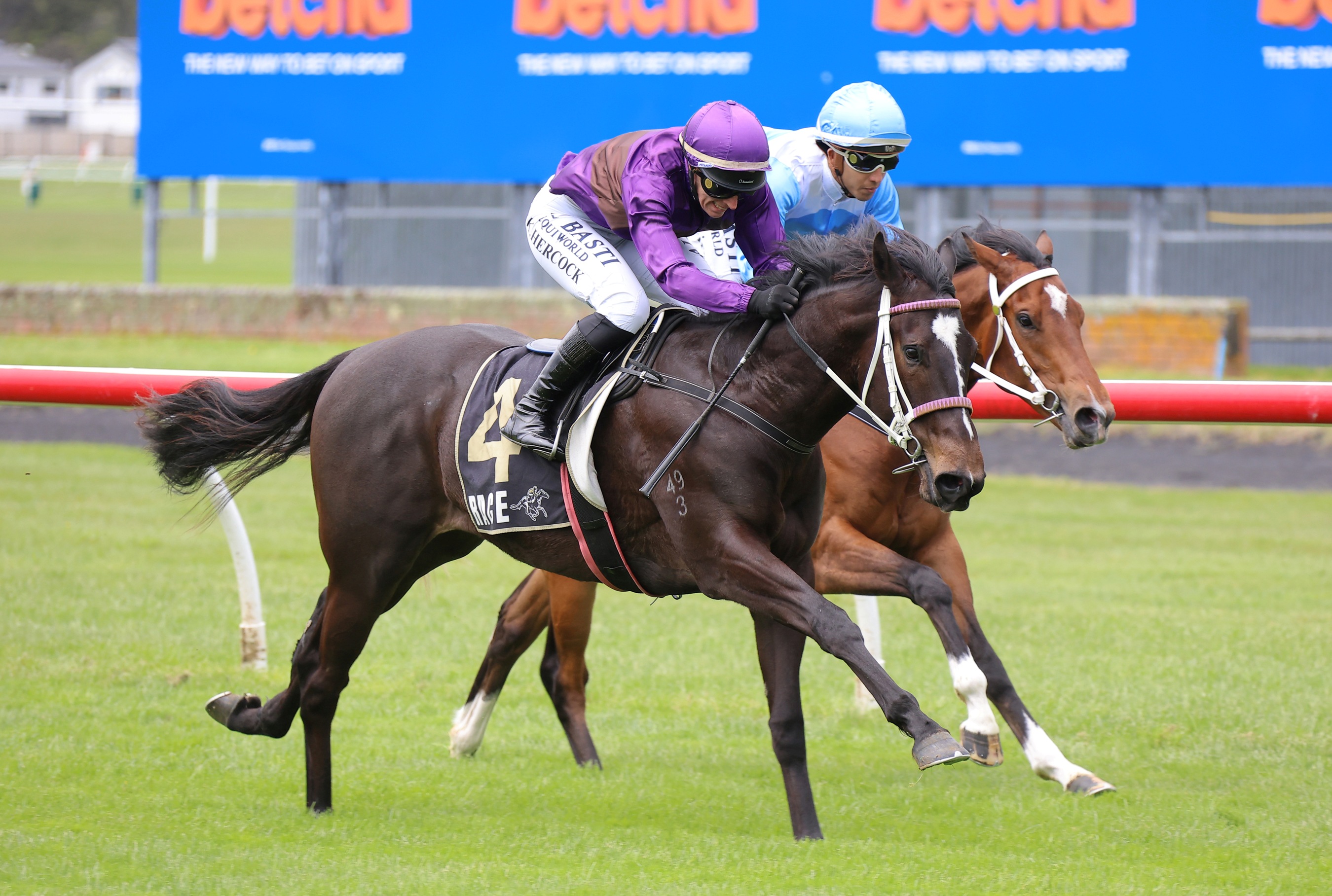 Midnight Dart delivers on debut