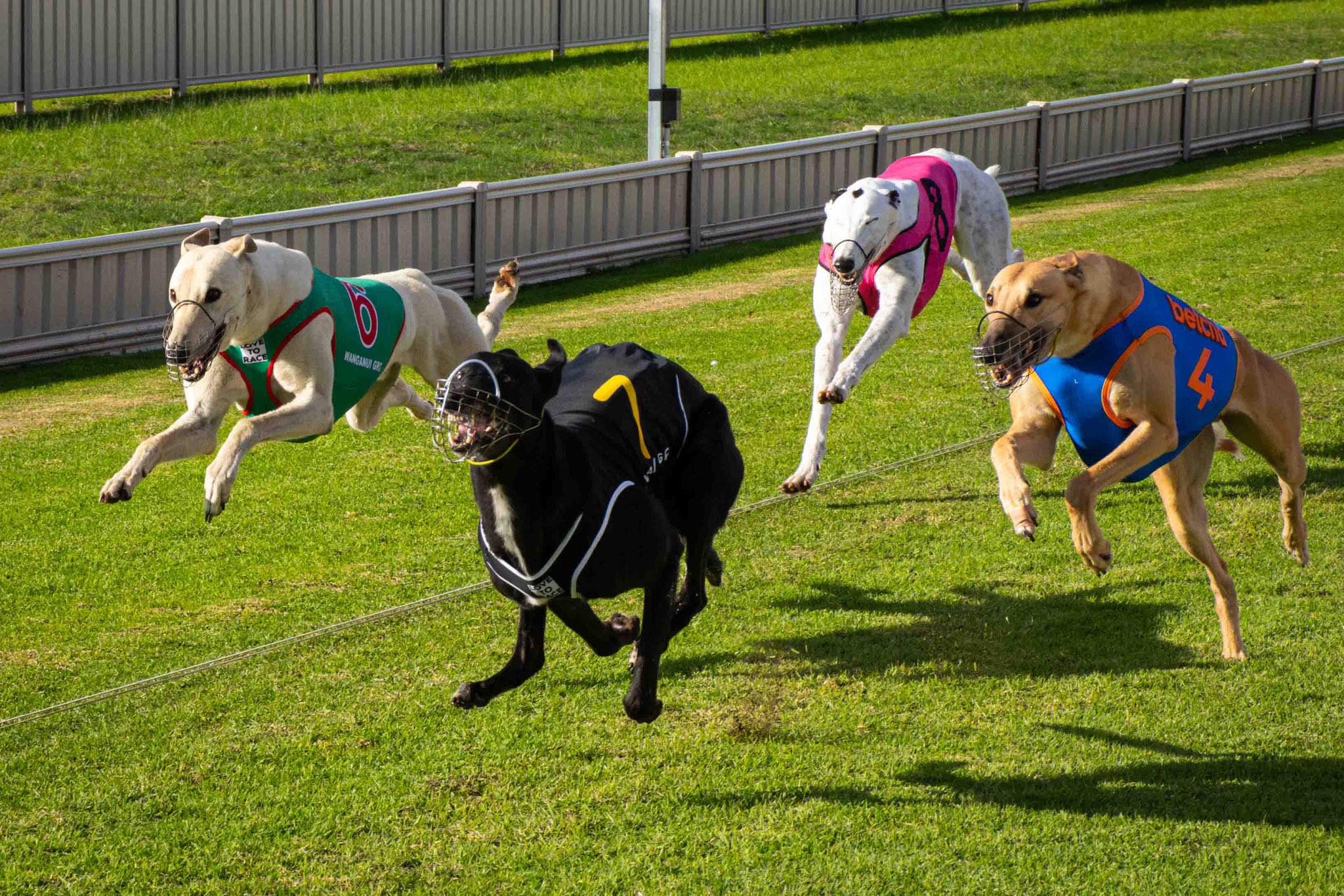 Roso's Picks: On the straight from Whanganui