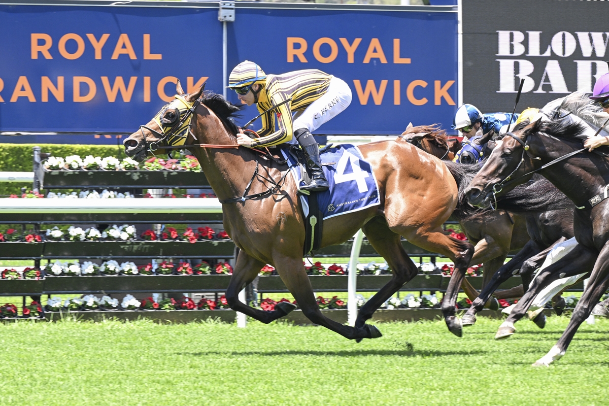 Hyperbolic cruises to Randwick success