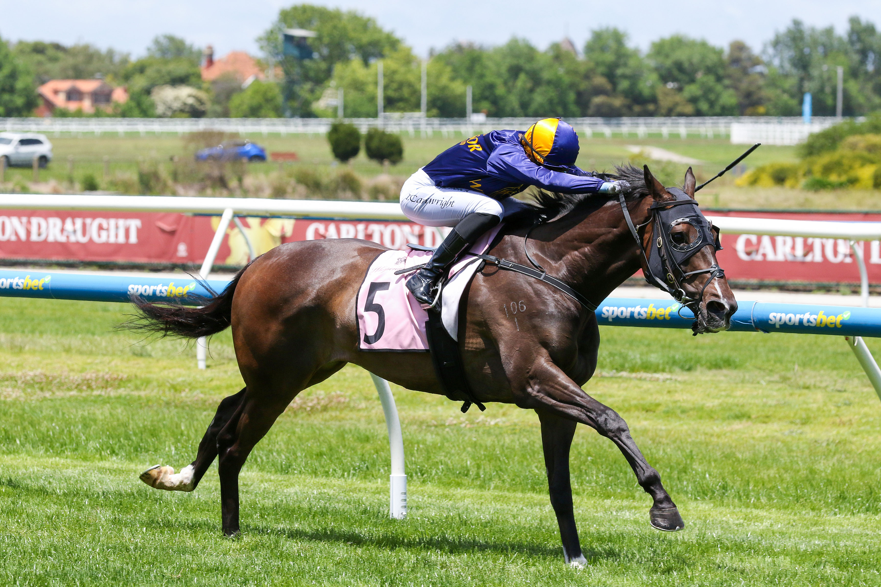 Opening Address rewards patient connections