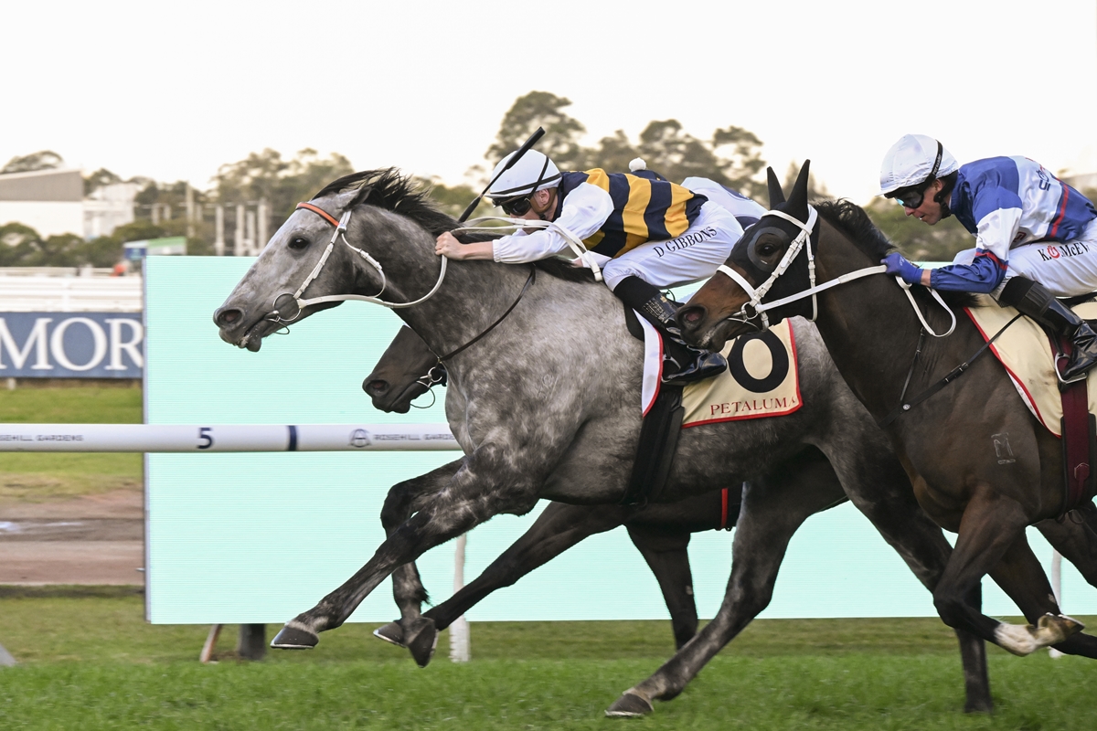 Cloudland heads Kiwi-bred trifecta