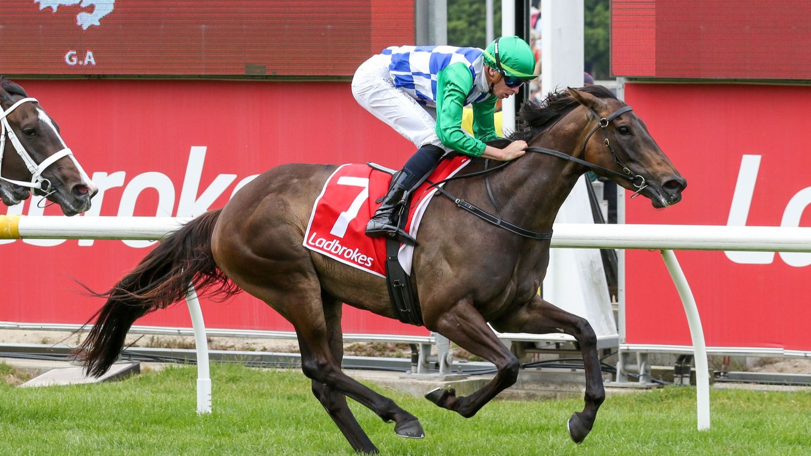 Grid Girl goes back-to-back with Cranbourne success