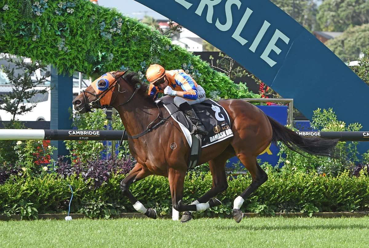 Te Akau talent readies for spring racing