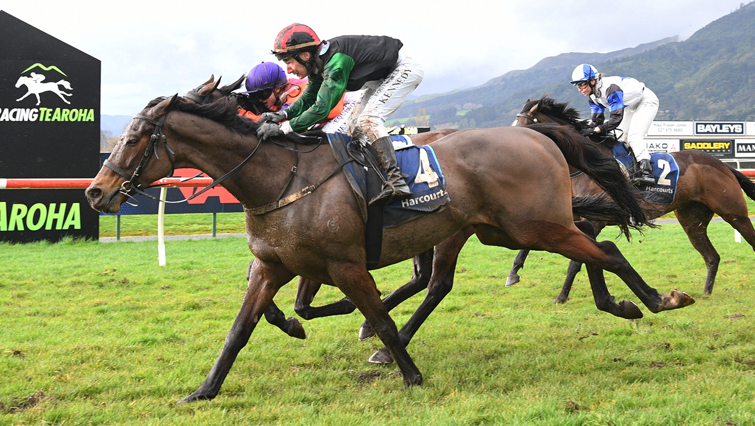 Son Of Sun makes stylish return