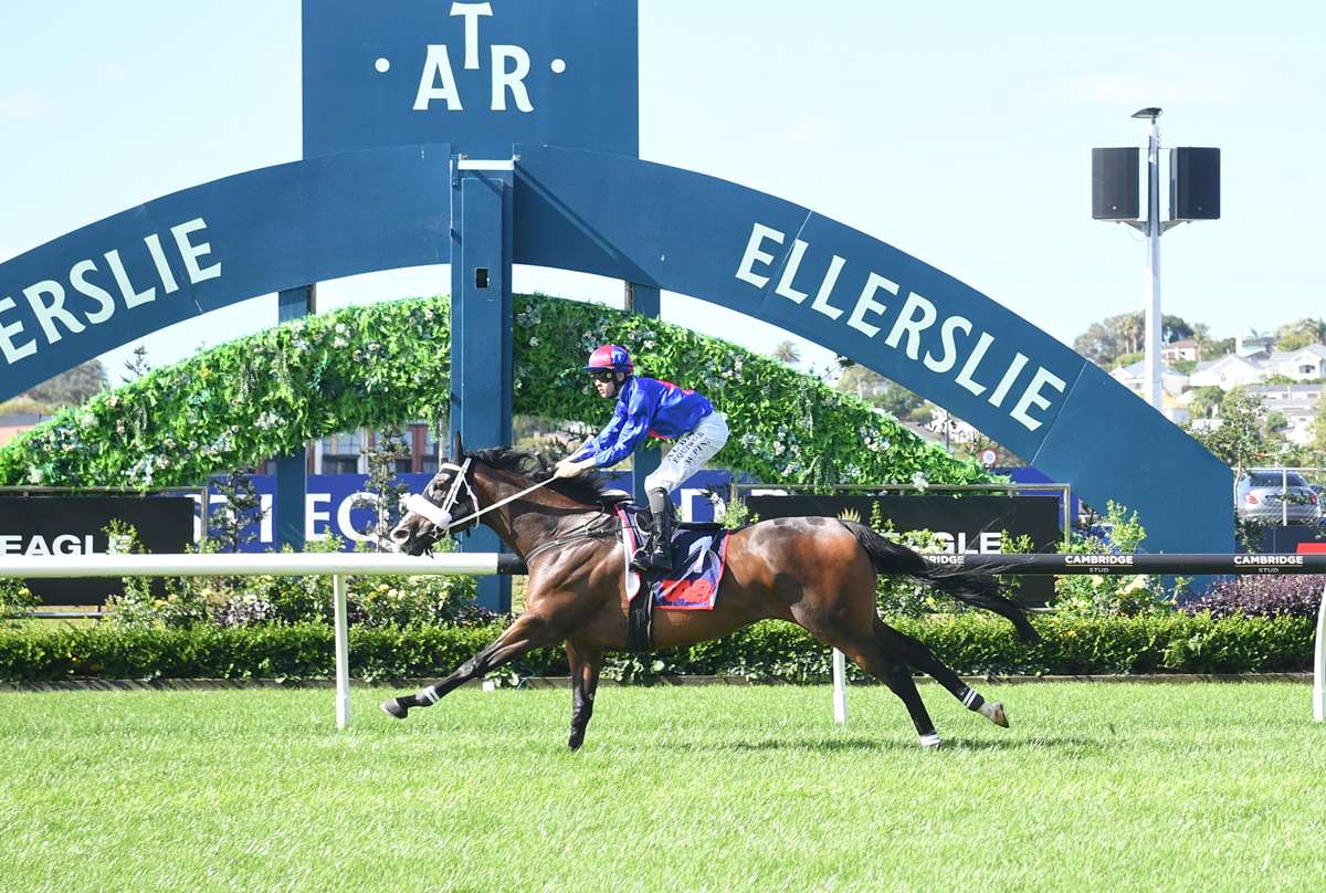El Vencedor Crowned 2024-25 Sport Nation Horse of the Year