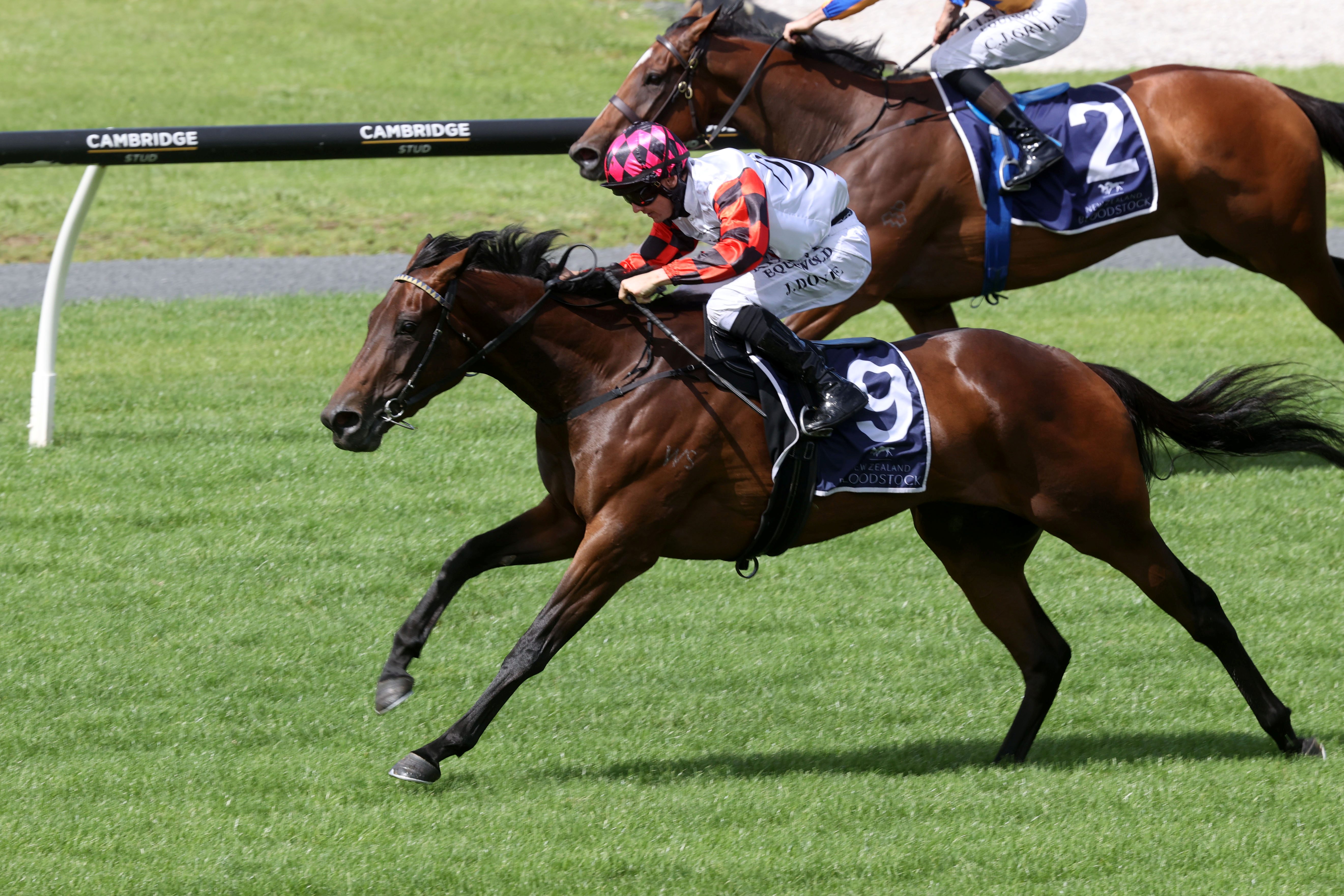 Ohope Wins attempts Group Two double in Fillies’ Classic