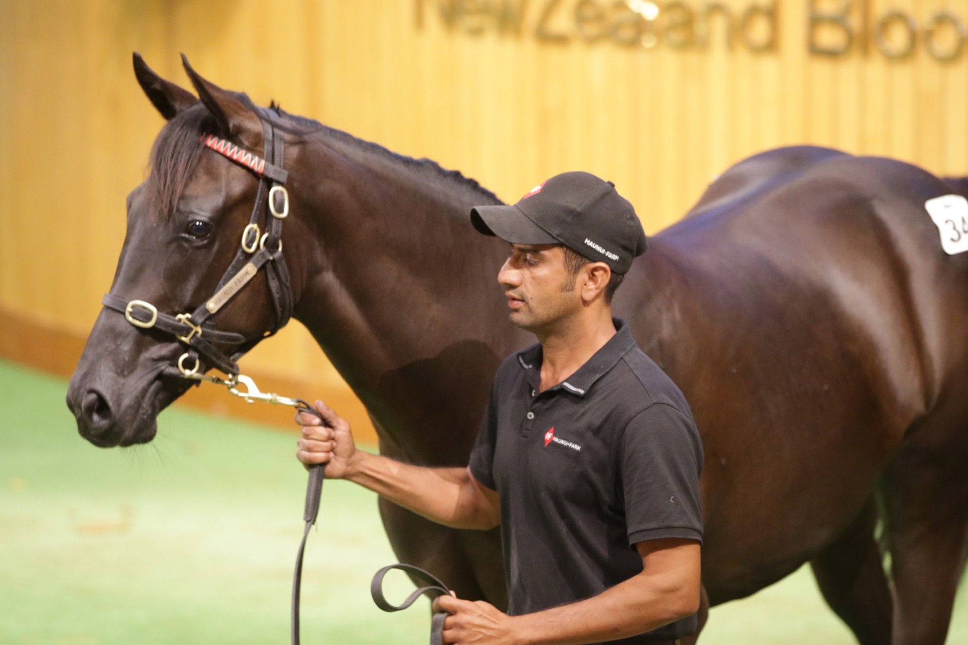 Kiwis omnipresent in success of Karaka Book 1