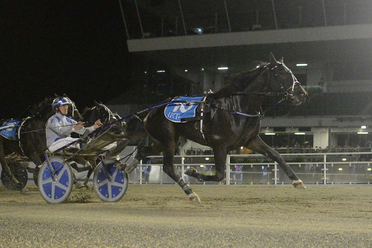 Young trotter Meant To Be steps up to the big time