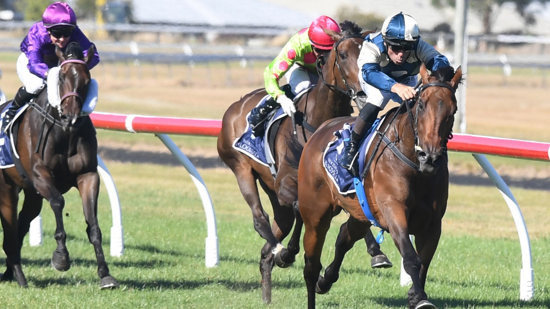 A Saturday of Champions