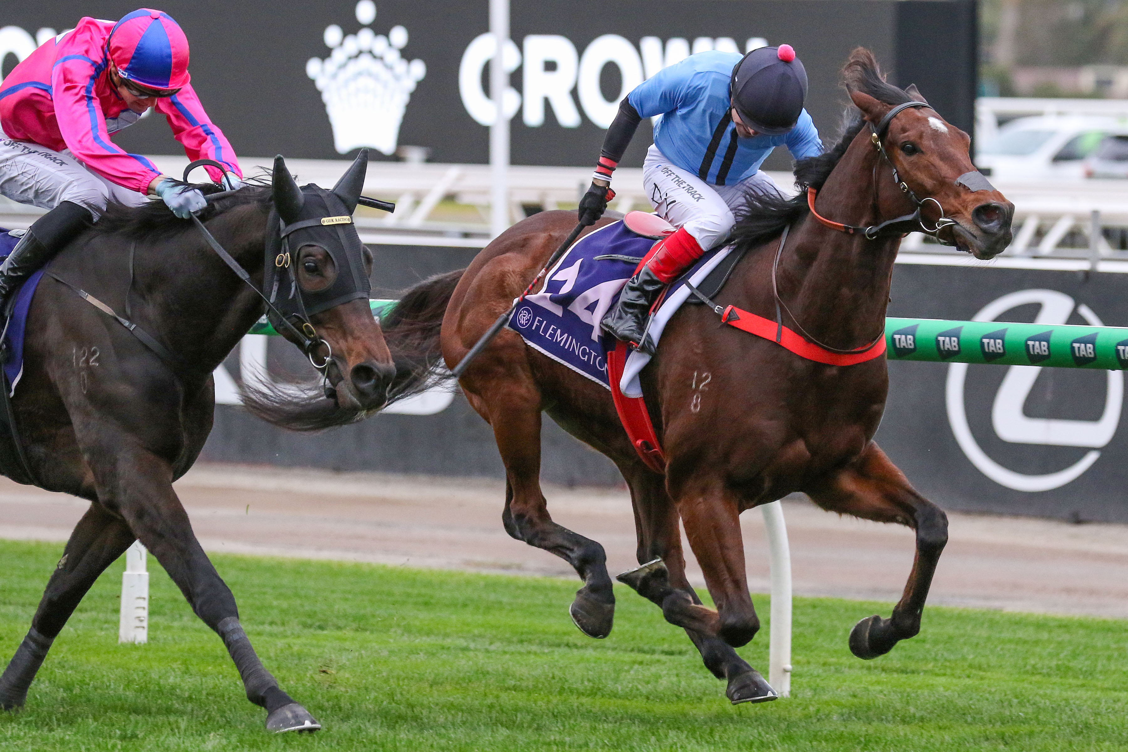 Flash Feeling registers Flemington win for new stable