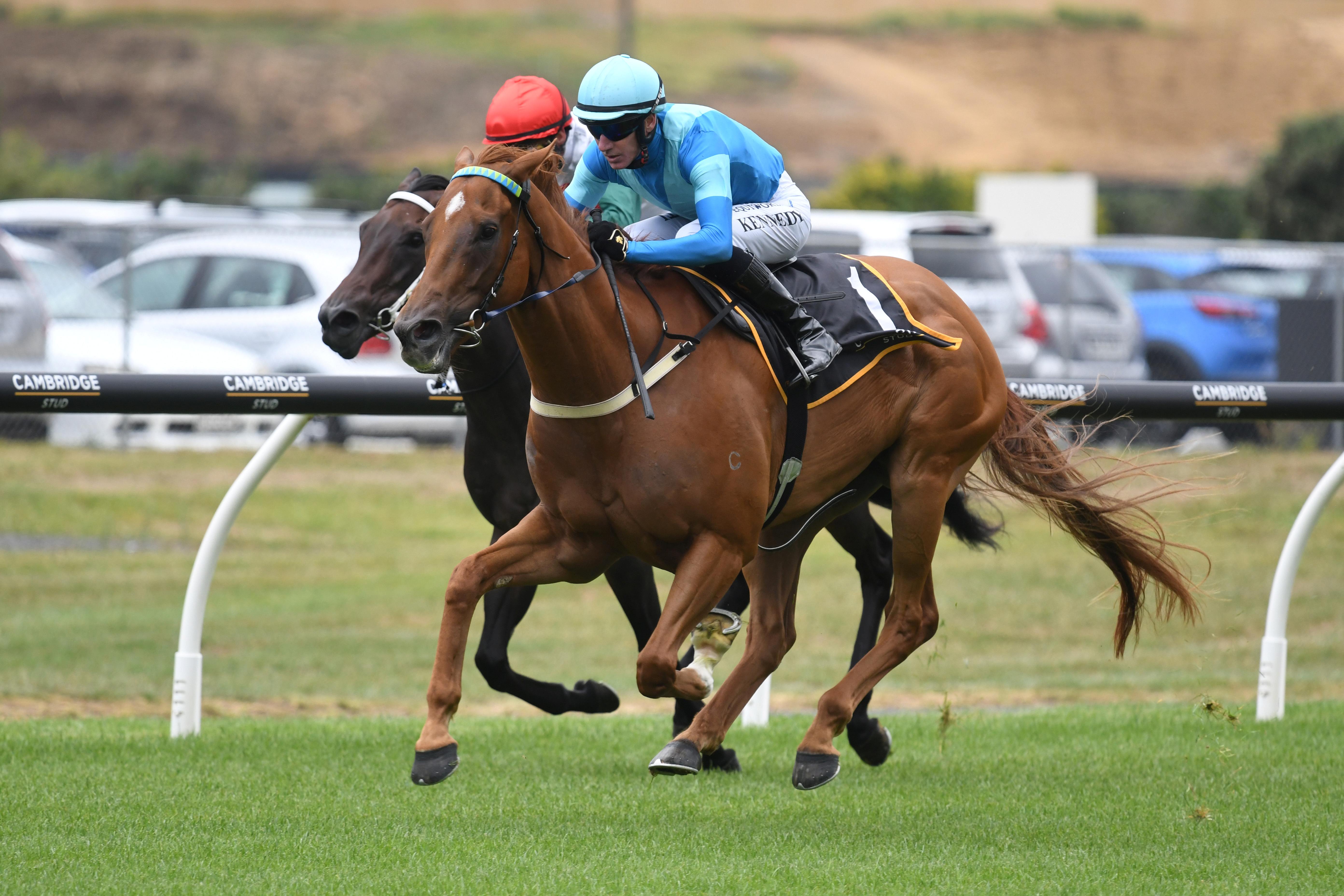 Crocetti to tackle top Australian sprinters in The KIA Quokka