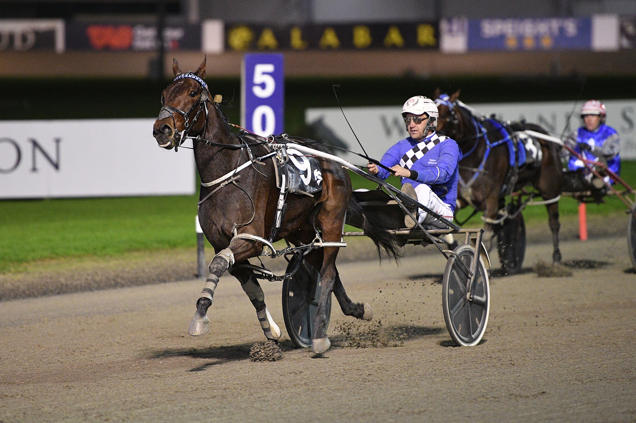 Mistress ready to claim her Oaks
