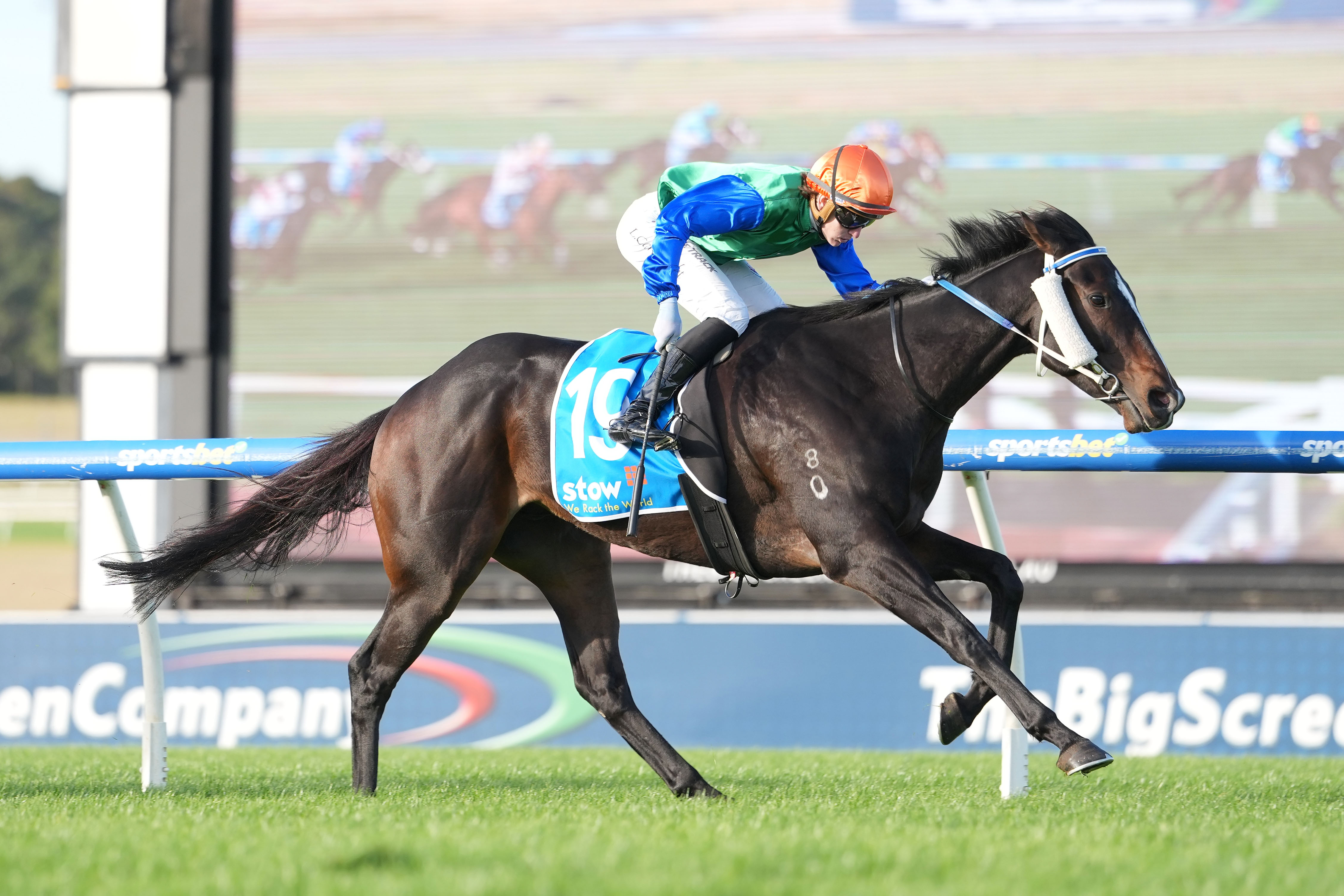 Roadcone helps Moody-Coleman to treble